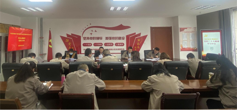 錘煉黨性找差距 堅(jiān)定信念促擔(dān)當(dāng)&mdash;&mdash;青海物產(chǎn)朝陽(yáng)物流開發(fā)投資有限公司黨支部開展主題教育黨性大討論