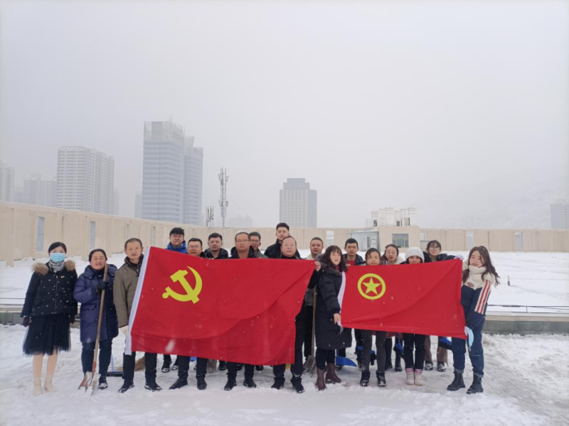黨團(tuán)齊發(fā)力 除雪在一線&mdash;&mdash;現(xiàn)代物流公司黨支部開(kāi)展除雪保安全活動(dòng)