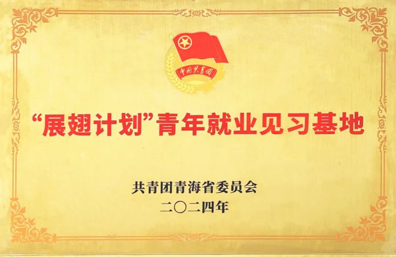 物產(chǎn)工投公司被團省委授予&ldquo;展翅計劃&rdquo;首批青年就業(yè)見習基地